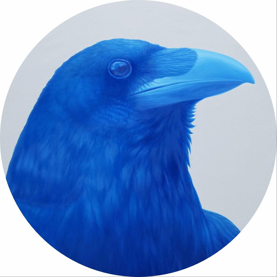 Blue Crow, (2016) Oil on linen, 100 cm diameter.